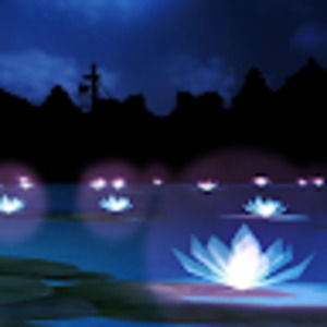 Meet your Posher, Jillian